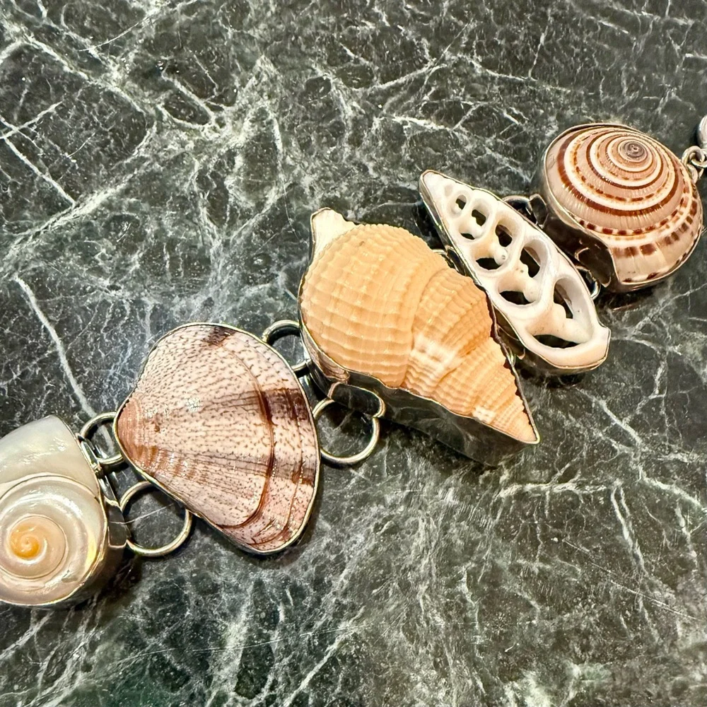 Gorgeous Charles Albert Sterling Silver Multi-Shell Bracelet - Picture 3 of 7